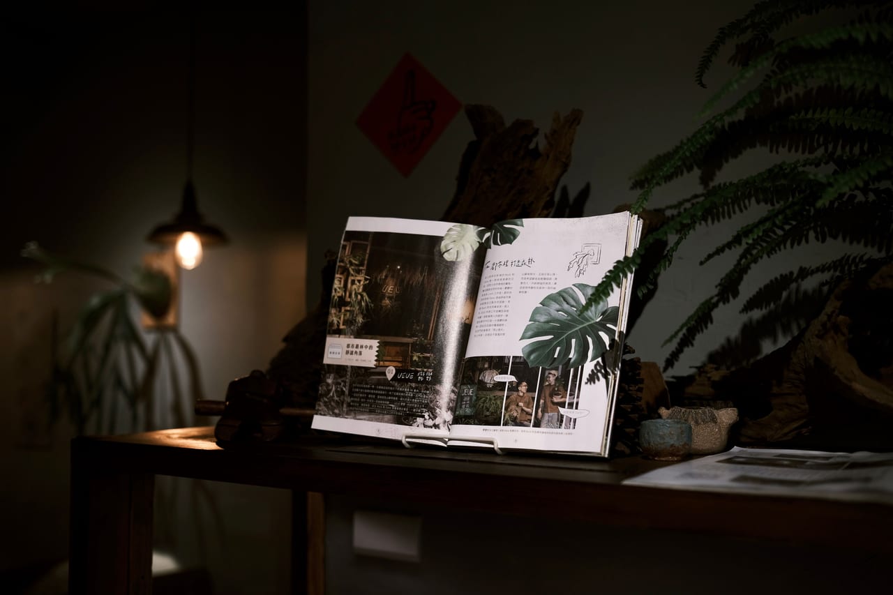 Aufgeschlagenes Magazin auf einem Holztisch im warmen Licht, dahinter Farnwedel