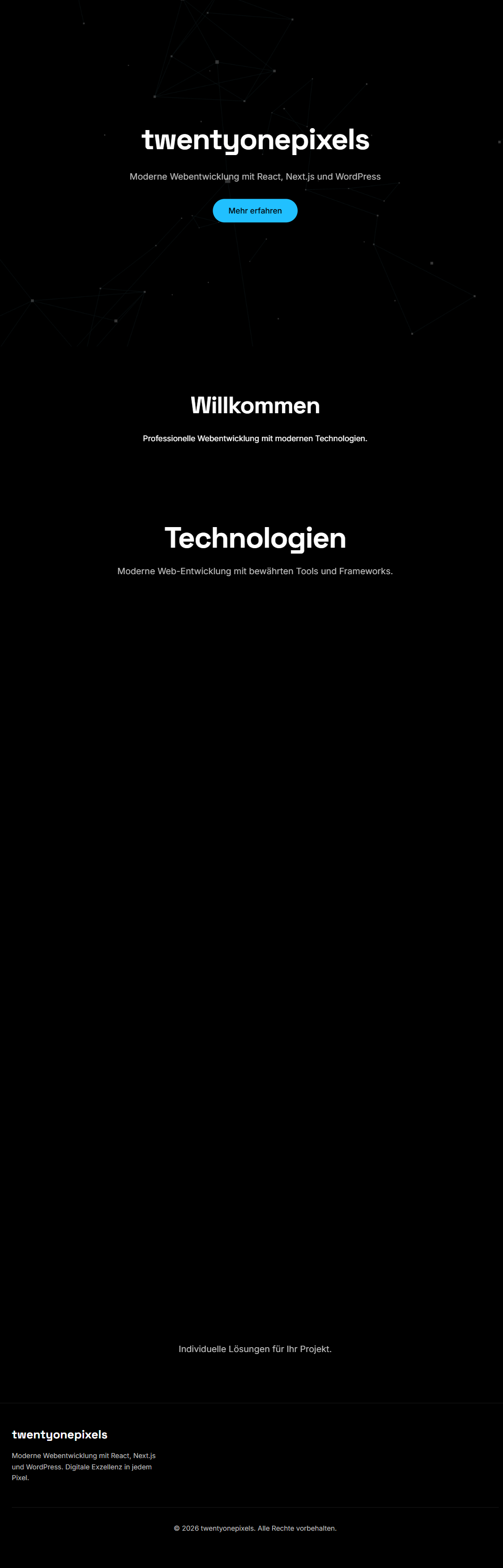 twentyonepixels (intern) — Projekteinblick 2